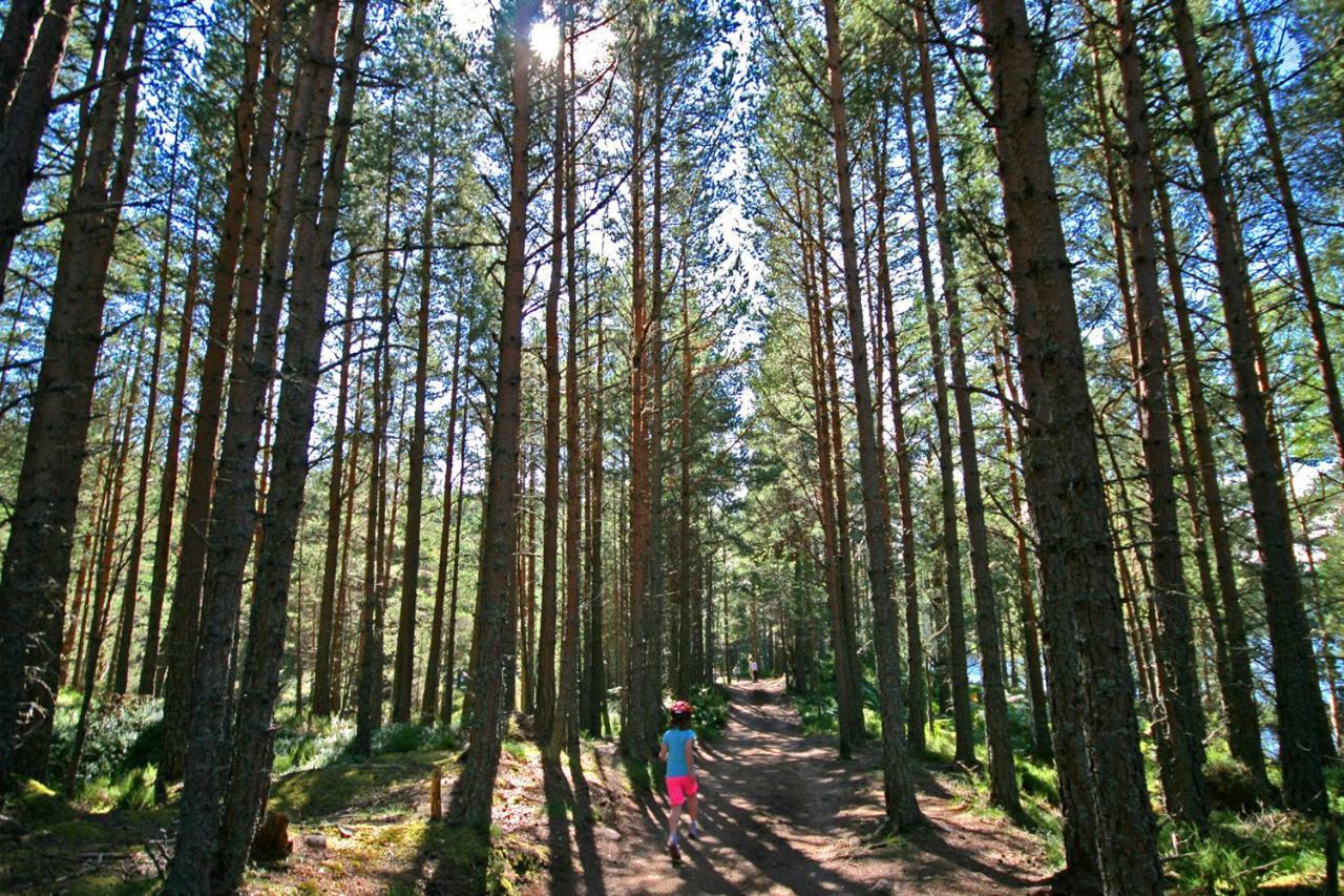 Tigh Na Lochan Aviemore Esterno foto